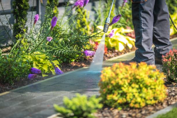 Reliable Waukegan, IL Pressure Washing Solutions
